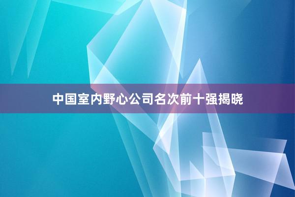 中国室内野心公司名次前十强揭晓
