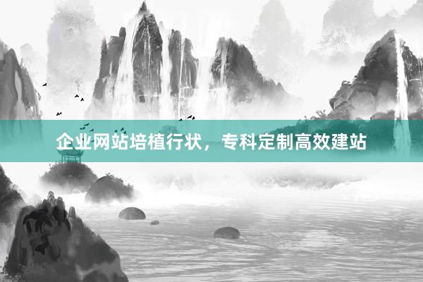 企业网站培植行状,专科定制高效建站