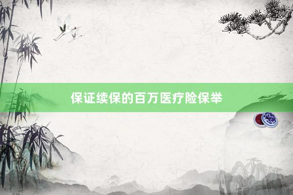保证续保的百万医疗险保举