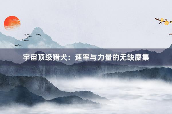 宇宙顶级猎犬：速率与力量的无缺麇集